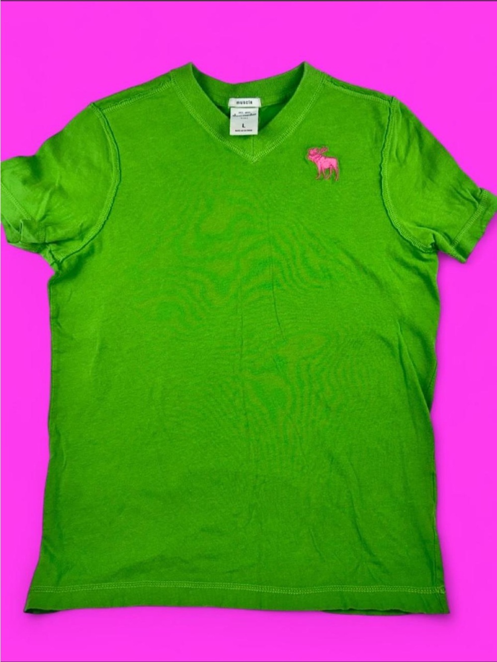 Abercrombie & Fitch Kids Lime Green V-Neck Tee with Pink Moose
